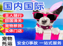 东郊机场快运国际宠物托运 【国